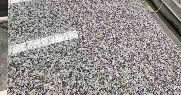 邢台 芙蓉白光面
