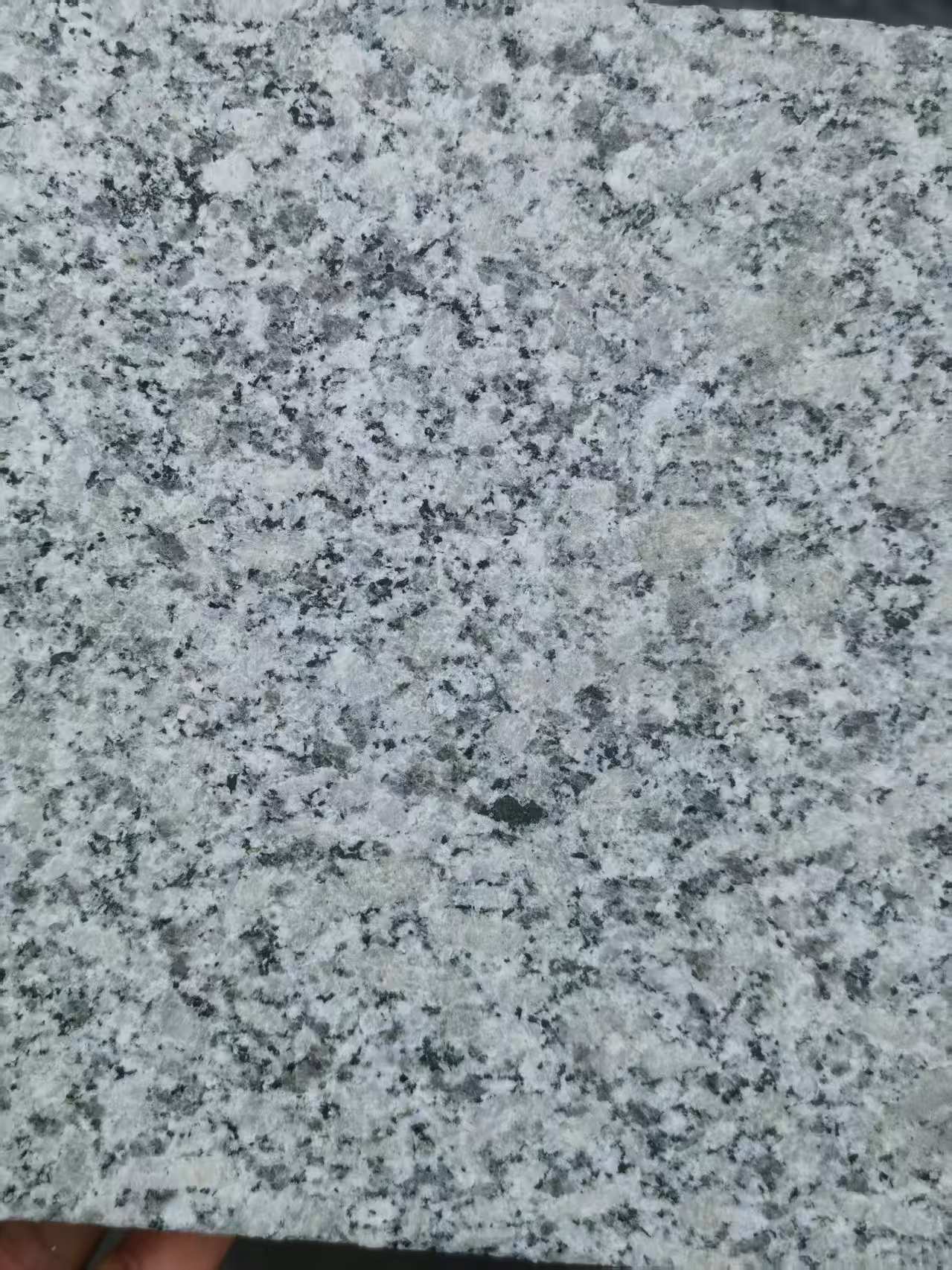 邢台 芙蓉白火烧面