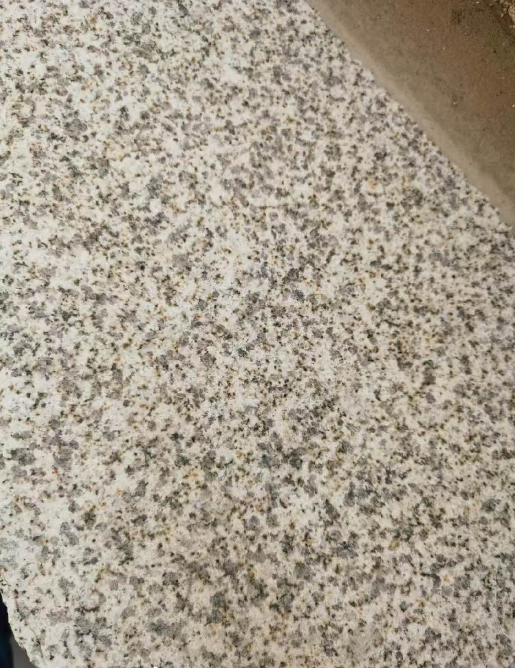 邢台 黄金麻中黄光面